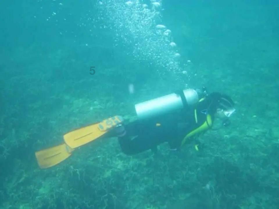逃离阴森的岛屿